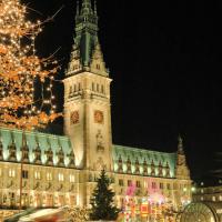 0656_0152 Weihnachtszeit, Adventszeit auf dem Hamburger Rathausmarkt; Weihnachtsbeleuchtung. | 